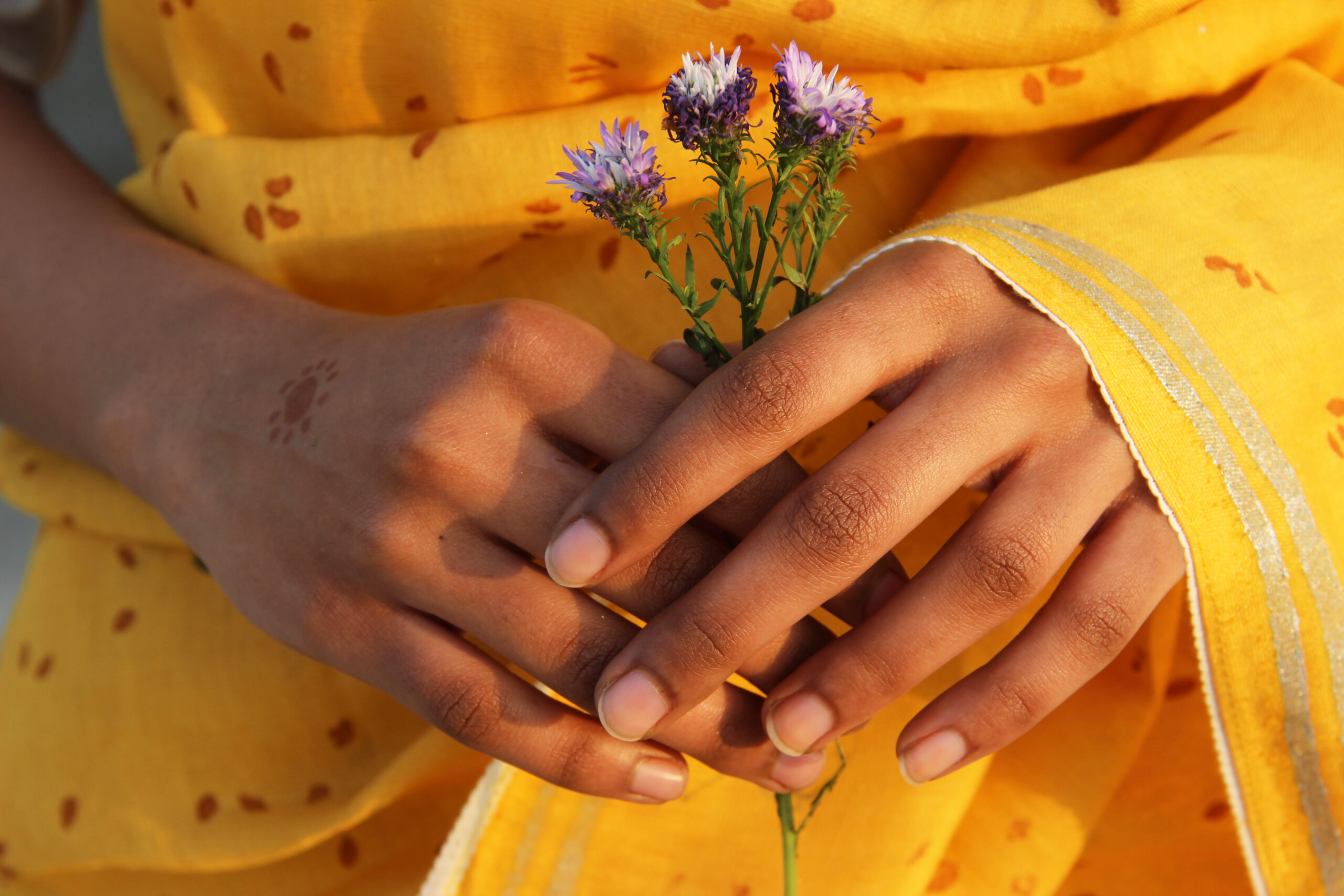 Amber Hue Sari (Linen Silk) - Image 4